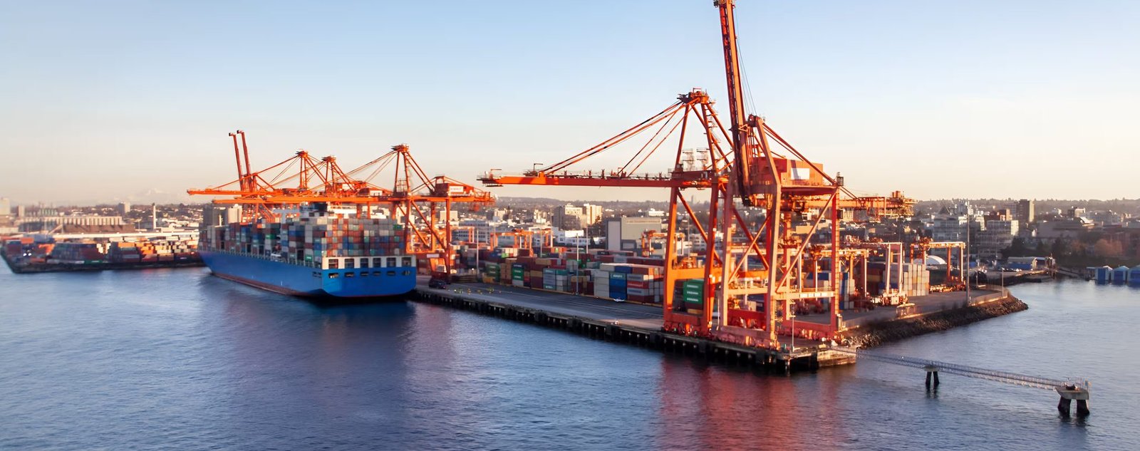 Gantry cranes working a container terminal